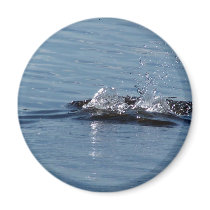 Water splash button magnets by abstractor Water splash button magnets