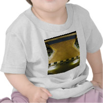 Water Spout Fountains Pools Gargoyles t-shirts