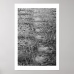 Water Spouts posters