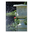 Water Spray cards