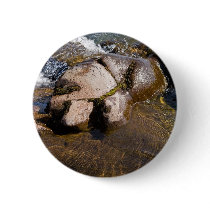 Water Stone buttons