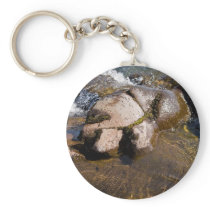 Water Stone keychains