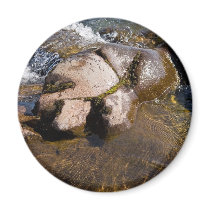 Water Stone magnets