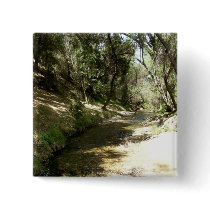 Water Stream Pins