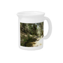 Water Stream Pitchers
