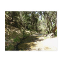 Water Stream Postcards