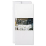 Water Stream rack cards