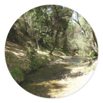Water Stream Sticker