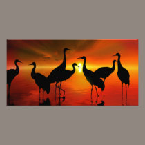 Water Sunset photo cards