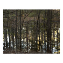 Water Tree invitations