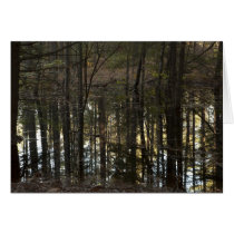 Water Trees III cards