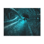 Water Tunnel Post Cards