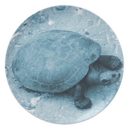 water turtle on bank blue tint reptile party plates