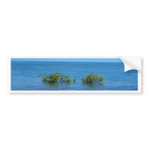Water View Darwin bumper stickers by sharonsphotography Water View Darwin bumper stickers