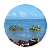 Water View Darwin magnets