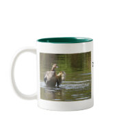 Water Walking Mallard mug