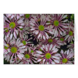 Water Wheels Of Nature Greeting Card