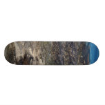 WaterBoard Custom Skate Board