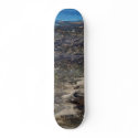 WaterBoard skateboards
