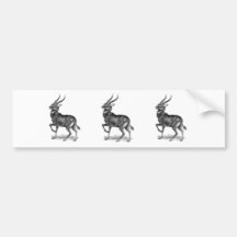 Waterbuck Bumper Stickers