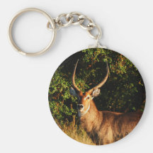 Waterbuck - safari animals keyrings keychain