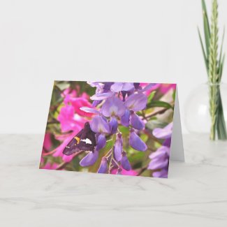Watercolor Butterfly and Wisteria Greeting Card