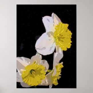 Watercolor Daffodil on Black zazzle_print