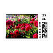 Watercolor Dahlias of Salzburg Postage Stamps by james_orear2 Watercolor Dahlias of Salzburg Postage Stamps