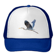 Watercolor Flying Blue Heron Hats