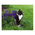 Watercolor Garden Cat posters by KheestoneImages Watercolor Garden Cat posters