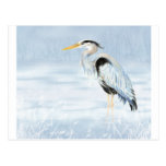 Watercolor Great Blue Heron Bird nature wildlife postcards