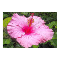 Watercolor Hibiscus Print by Floral_Dreamsnet Watercolor Hibiscus Print