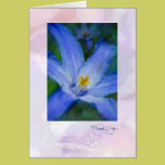 Watercolor Iris-Thank You cards