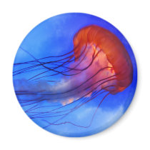 Watercolor Jellyfish Fridge Magnets