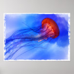 Watercolor Jellyfish Posters