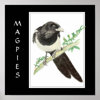 Watercolor Magpie in Bird, Animal Collection print