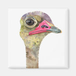 Watercolor OSTRICH magnet