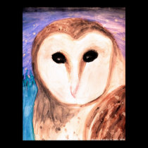 Watercolor Owl Framed Print posters