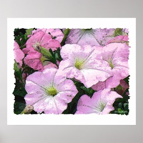 Watercolor Petunias print