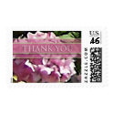 Watercolor Pink Hydrangea-Thank You-Medium Postage postage by twoheartsshoppe Watercolor Pink Hydrangea-Thank You-Medium Postage postage