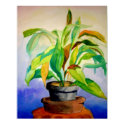 Watercolor Plant posters