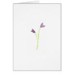 flowers, purple, lilies, lily, simple, pretty,