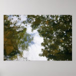 Watercolor Reflection Print