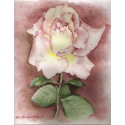 Watercolor Rose Print print