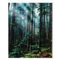 Watercolor Trees posters by Blacknight Watercolor Trees posters