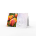 Watercolor Tulips-TY cards by William63 Watercolor Tulips-TY cards
