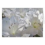 Watercolor White Azaleas Note Card