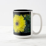 Watercolor Yellow Daisy on Black Mugs
