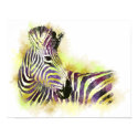 Watercolor Zeba posters