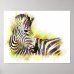 Watercolor Zeba Poster
